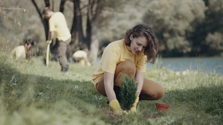 Best Root Management and Removal  in Abram, TX