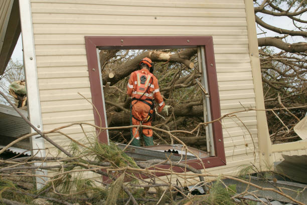 Best Tree Cabling and Bracing  in Abram, TX